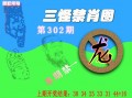 神算子网精选一肖-助您一举成名的必中宝典（娱乐版：hk338）澳门精准资枓大全，