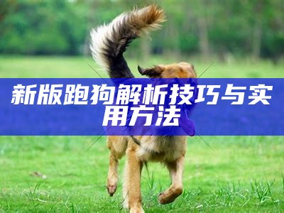 狗跑跑的全新与经典图解解析