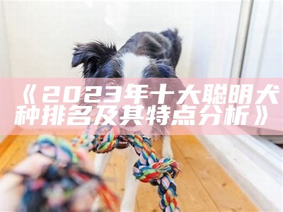 《2023年十大聪明犬种排名及其特点分析》