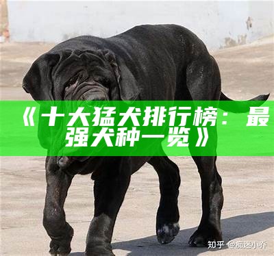 《十大猛犬排行榜：最强犬种一览》