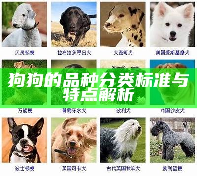 狗狗的品种分类标准与特点解析