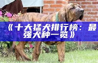 《十大猛犬排行榜：最强犬种一览》