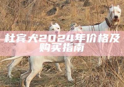 杜宾犬2024年价格及购买指南