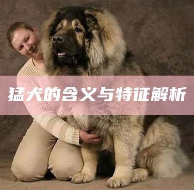 猛犬的含义与特征解析