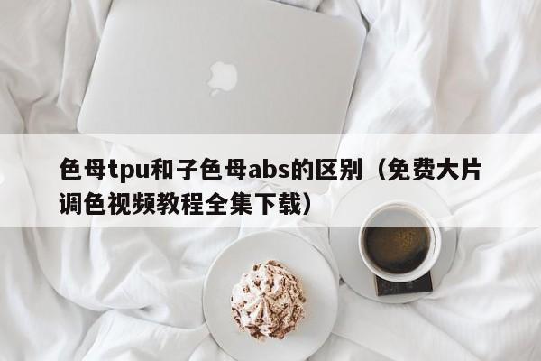 色母tpu和子色母abs的区别（免费大片调色视频教程全集下载）-第1张图片-澳门彩今晚开奖结果